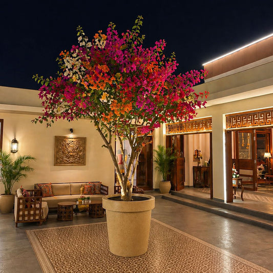 GARDENCIA ROT V Series Pots for Planter Big Size - Lightweight, Durable, Outdoor & Indoor Planters