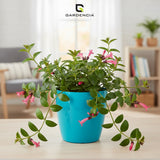 Vistara Self Watering Pot