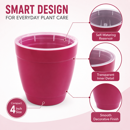 Kiwi Pot