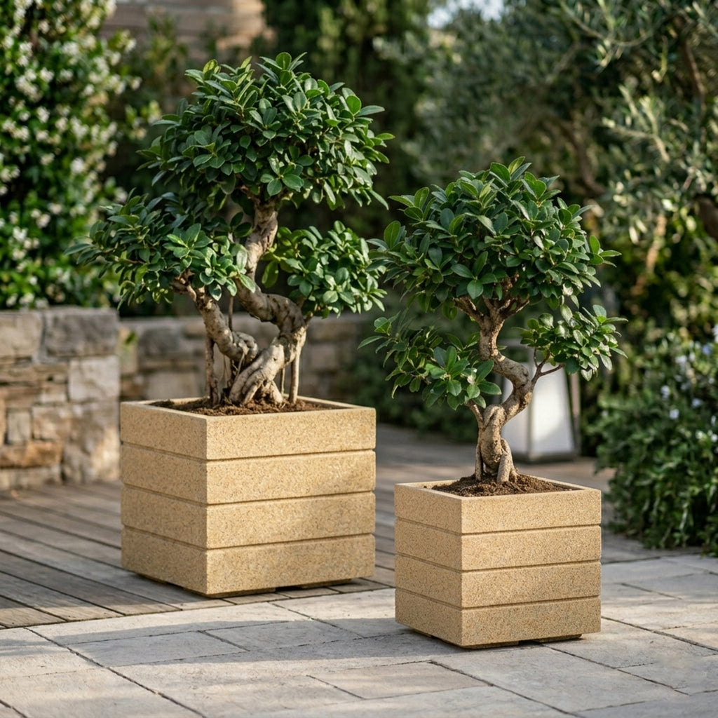GARDENCIA ROTO SQUARE Pot Combo – Square Planter with Dot Finish Colour