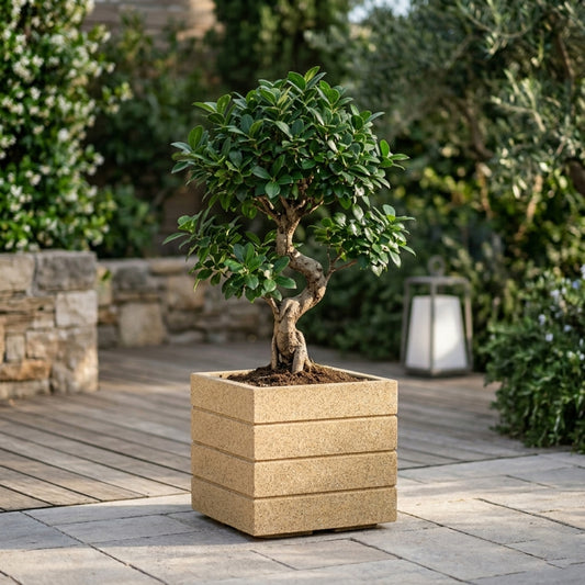 Roto Square Pot