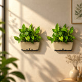 GARDENCIA Recta Big Rectangle Planter 14" with Wall Stand