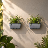 GARDENCIA Recta Big Rectangle Planter 14" with Wall Stand