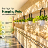 Sphere Hanging Pot