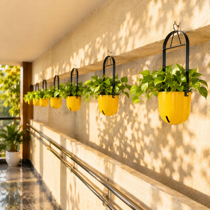 Sphere Hanging Pot