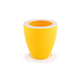 Convex with Smart Tray