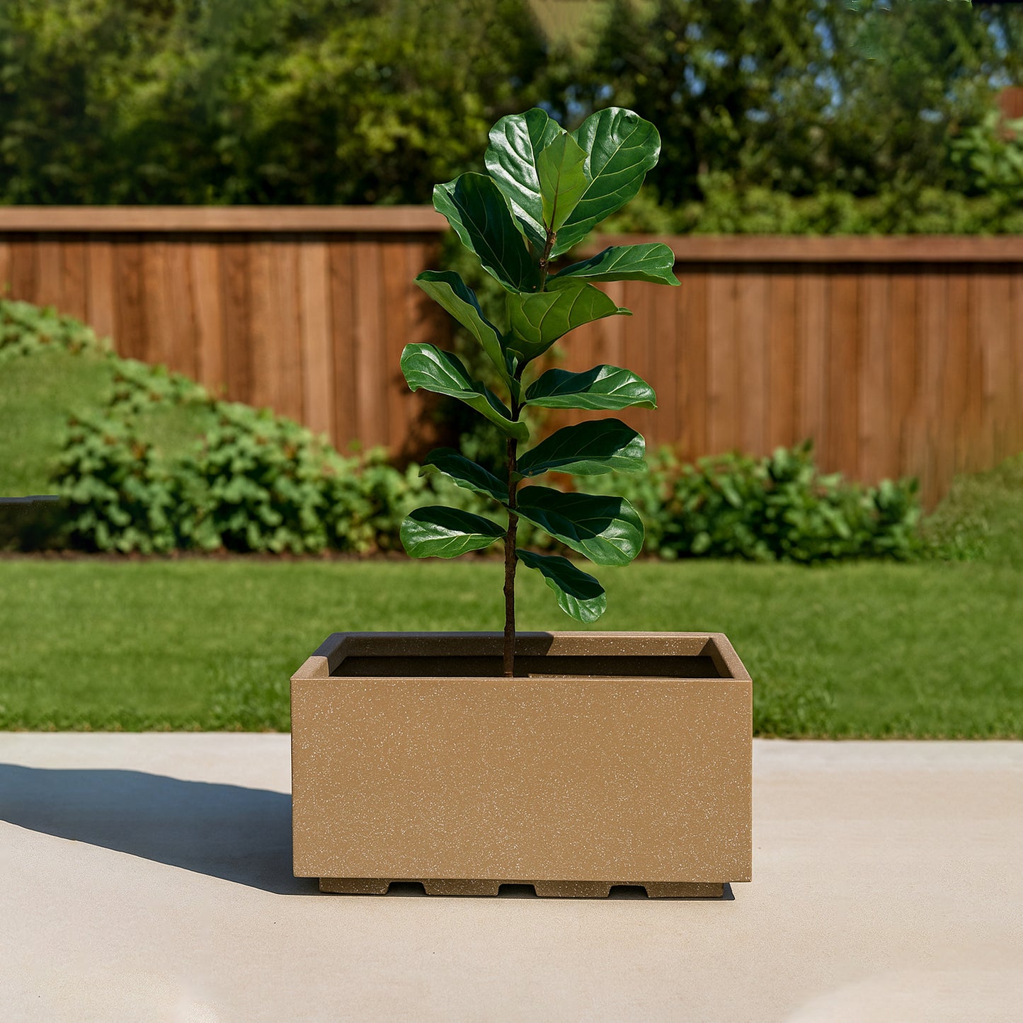 Gardencia Roto Box Tray Rectangular Planter with Dot Finish Color