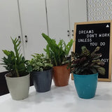 Eco Pots