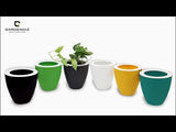 GARDENCIA Convex 8"/10"/12" with Smart Tray Self Watering Plant Pot | Large Plastic Planter with Drainage | UV Protected Polypropylene Flower Pot for Indoor Outdoor Garden