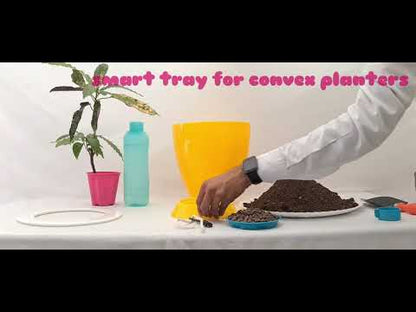 Convex with Smart Tray