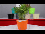 GARDENCIA Cube Self Watering Pot 6 Inch with Hanging Chain Modern Hanging Planter for Indoor & Outdoor Plants, Durable Plastic Pot Ideal for Balcony, Home & Office Decor
