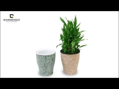 Cone Painted Self Watering Pot