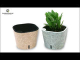Cube Painted Self Watering Pot