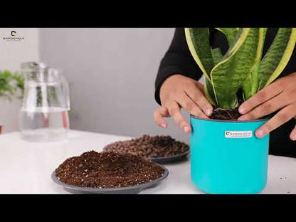 Gardencia Lorenzo Self Watering  Pot 5 Inch - Flower Pots & Indoor Planters for Home Decore, Living Room, Kitchen, Bedroom, Office Desk, Gifting