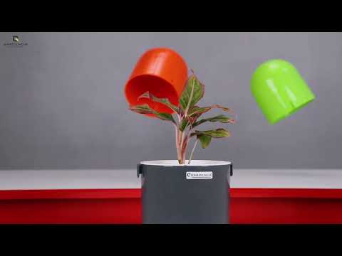 Sphere Wall Hanging Pot