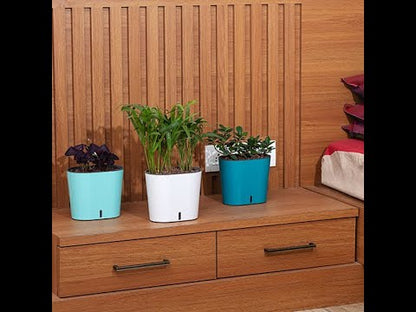 GARDENCIA CAVENDER 7" Self-Watering Pot – Decorative Indoor Planter with Built-in Water Reservoir for Home, Garden & Office Use