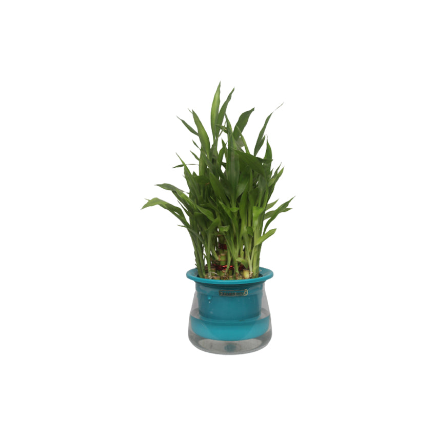 3 Layer Bamboo Plant With Conic Planter