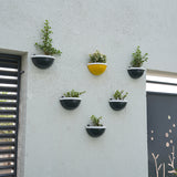 Gardencia Arc Wall Hanging Self Watering Planter