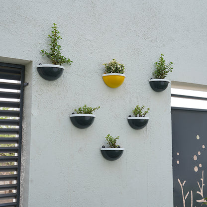 Gardencia Arc Wall Hanging Self Watering Planter