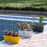 Gardencia D Type Planter
