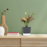 Gift Pot Self Watering Pot