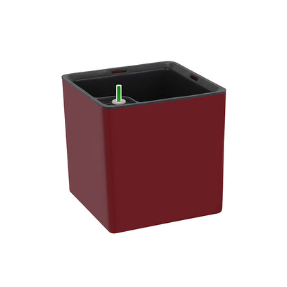 GARDENCIA Columbus Self-Watering Pot with Wall Stand 6"