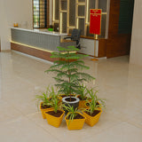 Gardencia Octa Self Watering Pot with Bottom Tray