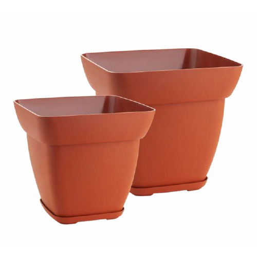 SQ Pot With Tray